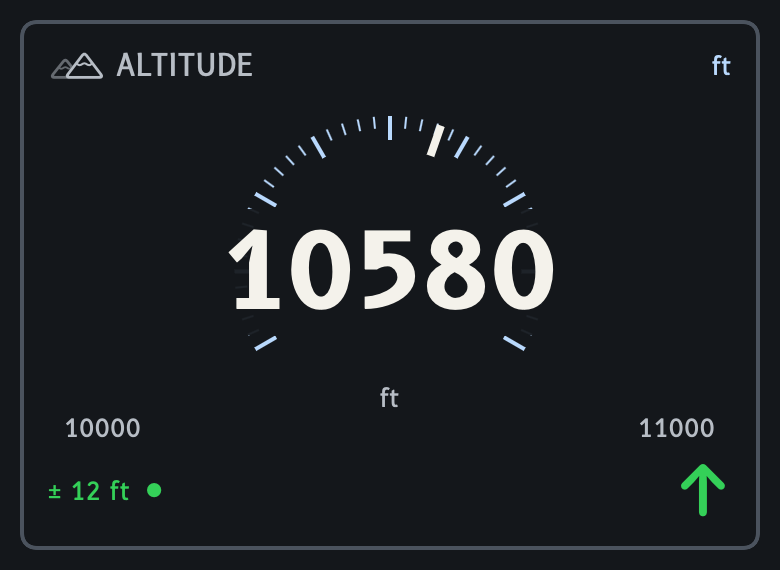 Rally Special altitude instrument preview with a sample reading of 10580 feet.